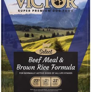 Victor Beef & Rice