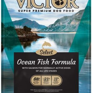 Victor Ocean