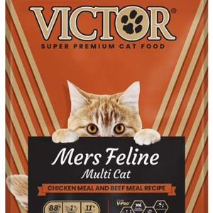 Victor Cat