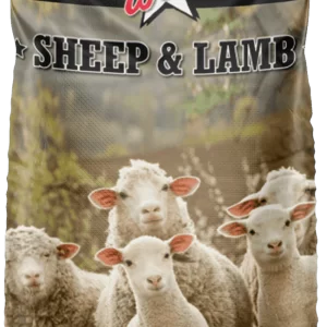 Sheep & Lamb 14%